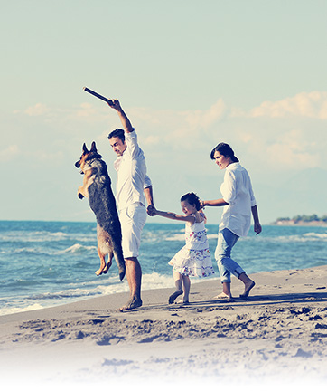 Familia jugando con un perro en la playa
