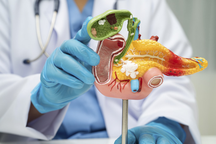 Médico explica funcionamiento del páncreas