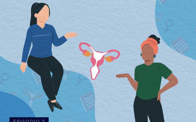 Illustración de mujeres y aparato reproductivo