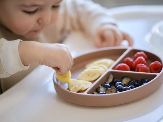 Bebé con un plato sin alimentos prohibidos del BLW 