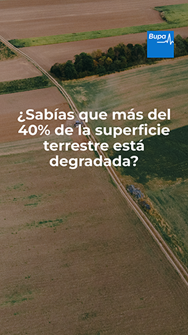 Día Mundial contra la Desertificación y la Sequía