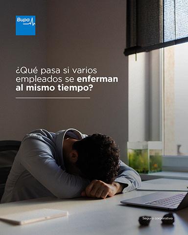 Seguro corporativo IPMI